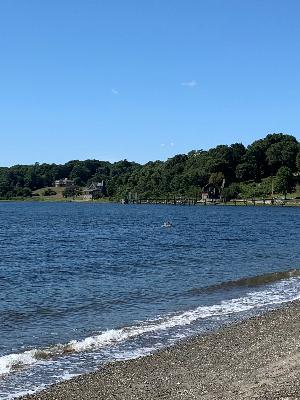 Lovely view from Rocky Point Beach
